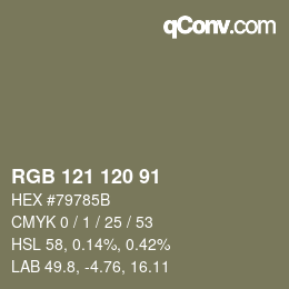 Color code: RGB 121 120 91 | qconv.com