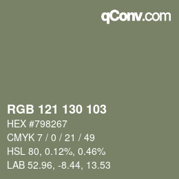 Color code: RGB 121 130 103 | qconv.com