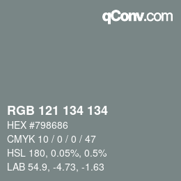 Color code: RGB 121 134 134 | qconv.com