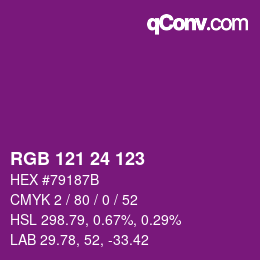Color code: RGB 121 24 123 | qconv.com