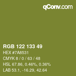 カラーコード: RGB 122 133 49 | qconv.com