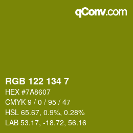 Color code: RGB 122 134 7 | qconv.com