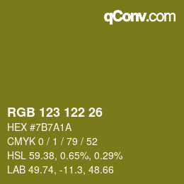 Color code: RGB 123 122 26 | qconv.com