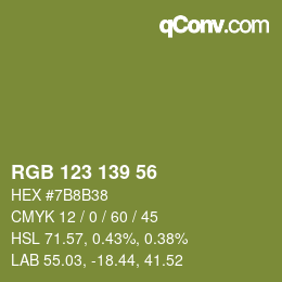 Color code: RGB 123 139 56 | qconv.com