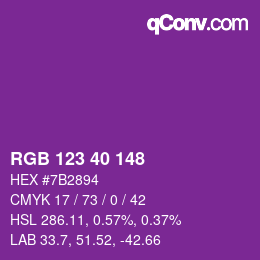 Color code: RGB 123 40 148 | qconv.com