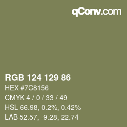 Farbcode: RGB 124 129 86 | qconv.com