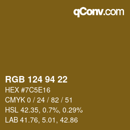 Farbcode: RGB 124 94 22 | qconv.com