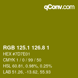 カラーコード: RGB 125.1 126.8 1 | qconv.com