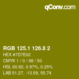 カラーコード: RGB 125.1 126.8 2 | qconv.com