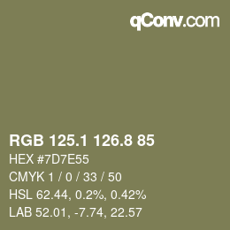 Color code: RGB 125.1 126.8 85 | qconv.com