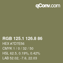 Color code: RGB 125.1 126.8 86 | qconv.com