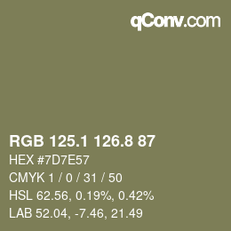 Color code: RGB 125.1 126.8 87 | qconv.com