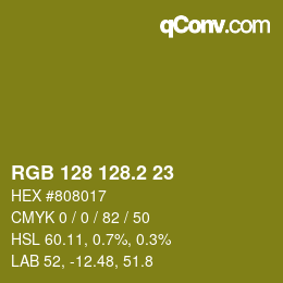 カラーコード: RGB 128 128.2 23 | qconv.com