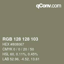 Color code: RGB 128 128 103 | qconv.com