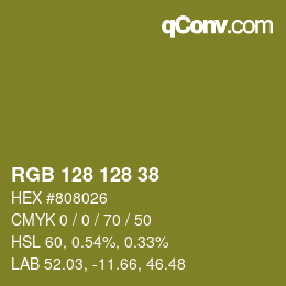 カラーコード: RGB 128 128 38 | qconv.com