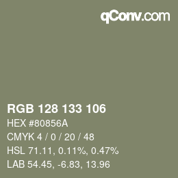 Color code: RGB 128 133 106 | qconv.com