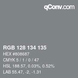 Color code: RGB 128 134 135 | qconv.com