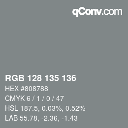 Color code: RGB 128 135 136 | qconv.com