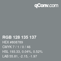 Color code: RGB 128 135 137 | qconv.com