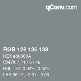Farbcode: RGB 128 136 138 | qconv.com