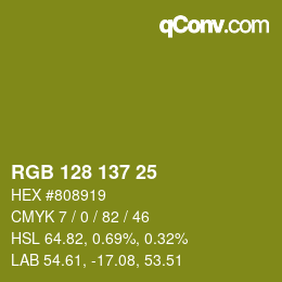 カラーコード: RGB 128 137 25 | qconv.com