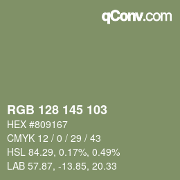 Farbcode: RGB 128 145 103 | qconv.com