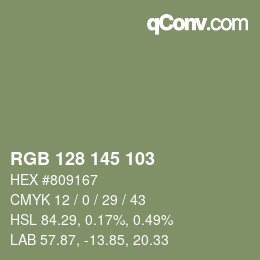 Color code: RGB 128 145 103 | qconv.com