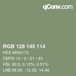 Color code: RGB 128 145 114 | qconv.com