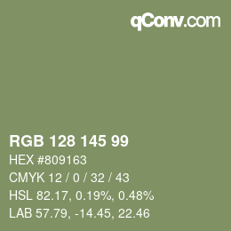 Color code: RGB 128 145 99 | qconv.com
