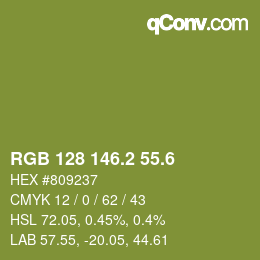 カラーコード: RGB 128 146.2 55.6 | qconv.com