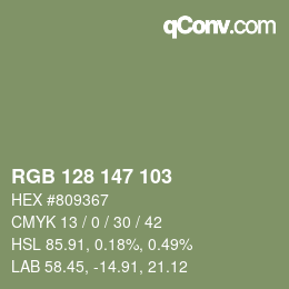 Color code: RGB 128 147 103 | qconv.com