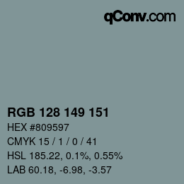 Color code: RGB 128 149 151 | qconv.com