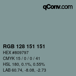 Color code: RGB 128 151 151 | qconv.com