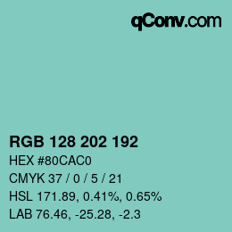 カラーコード: RGB 128 202 192 | qconv.com