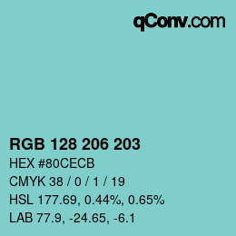Color code: RGB 128 206 203 | qconv.com