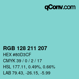 Color code: RGB 128 211 207 | qconv.com