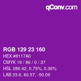 Color code: RGB 129 23 160 | qconv.com