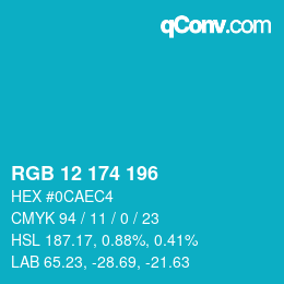 Color code: RGB 12 174 196 | qconv.com