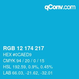 Color code: RGB 12 174 217 | qconv.com