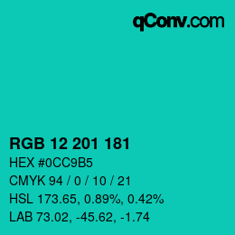 Color code: RGB 12 201 181 | qconv.com