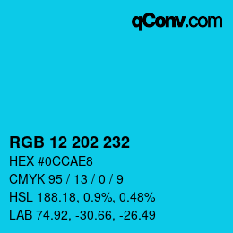 Color code: RGB 12 202 232 | qconv.com