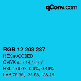 Color code: RGB 12 203 237 | qconv.com