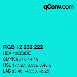 Color code: RGB 12 232 222 | qconv.com