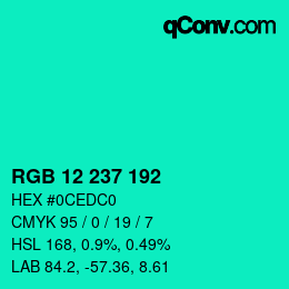 Color code: RGB 12 237 192 | qconv.com