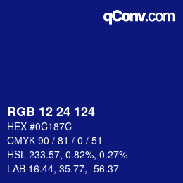 Color code: RGB 12 24 124 | qconv.com