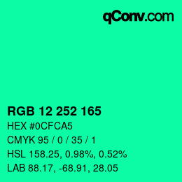 Color code: RGB 12 252 165 | qconv.com