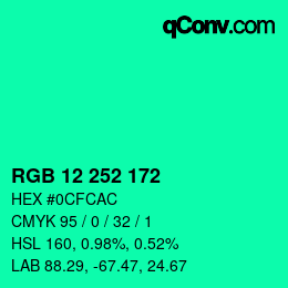 Color code: RGB 12 252 172 | qconv.com