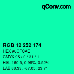 Color code: RGB 12 252 174 | qconv.com