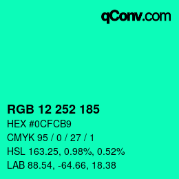 Color code: RGB 12 252 185 | qconv.com