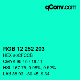 Color code: RGB 12 252 203 | qconv.com
